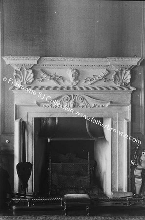 HOWTH CASTLE  FIREPLACE IN LIBRARY